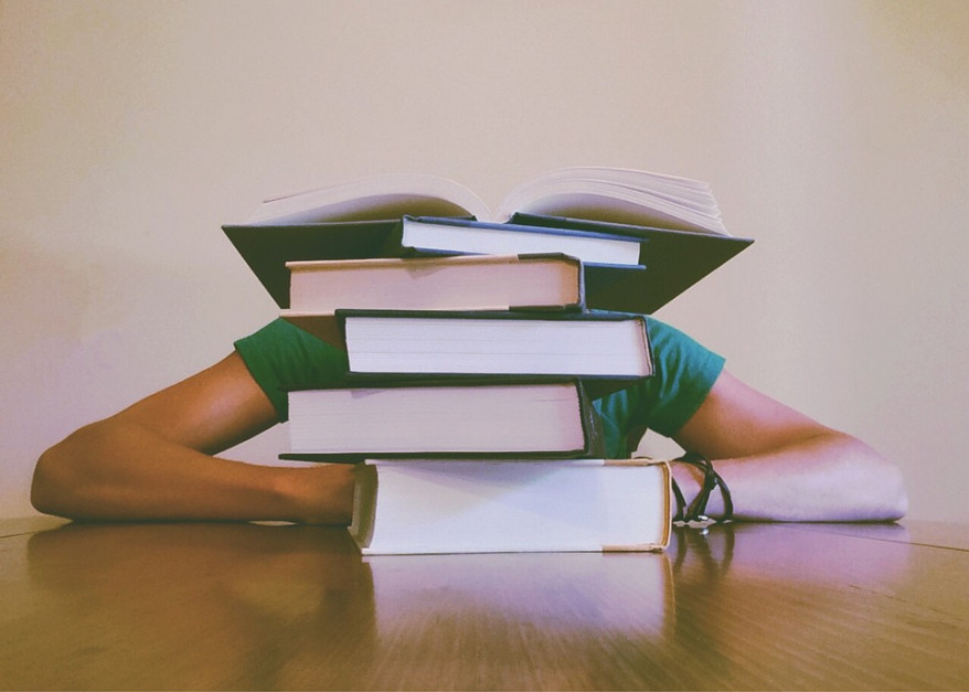 Zdaniem ekspertów, biogospodarka jest bardzo dynamicznie rozwijającym się sektorem przemysłu. (fot. pixabay) Biogospodarka - rusza nowy kierunek studiów inżynierskich