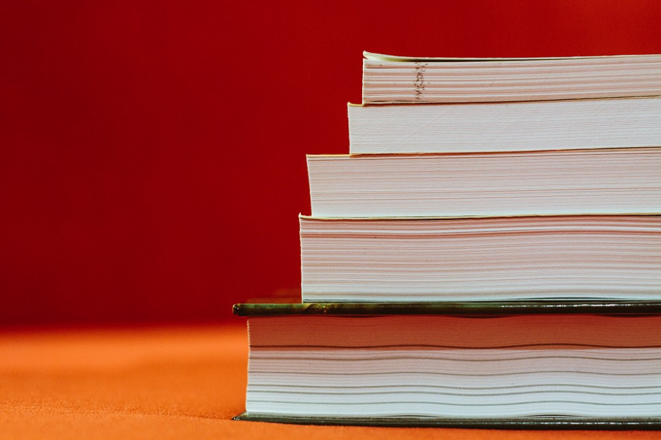 „Taki program studiów nie ma konkurencji w Czechach, Słowacji i w Polsce." (fot. pixabay) Nowy kierunek: Środkowoeuropejskie studia historyczne