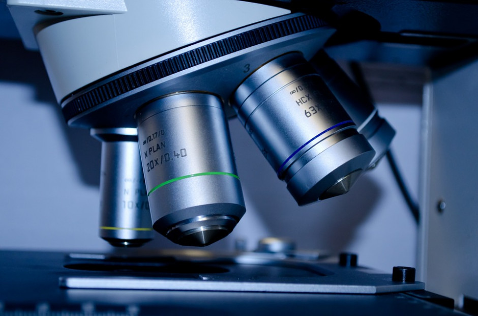 Samantha Kingdom ma 25-letnie doświadczenie zawodowe w branży farmaceutycznej i biotechnologicznej, zdobyte w Europie i Australii. (fot. pixabay) Samantha Kingdom nowym dyrektorem Amgen w Polsce