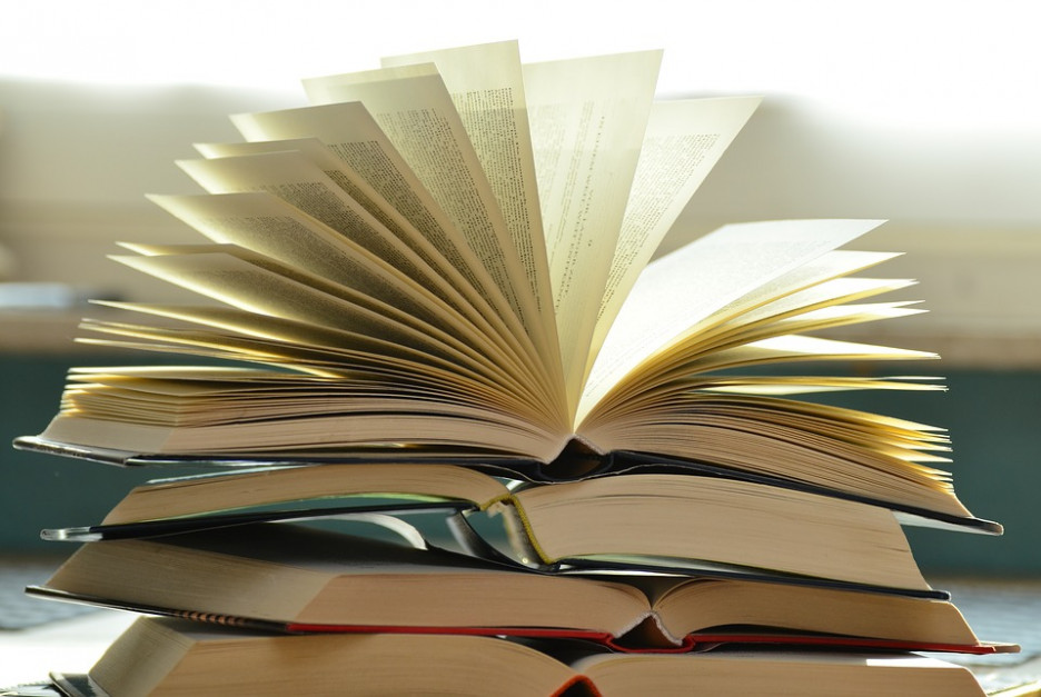 Jednym z problemów, z którymi się spotykają twórcy systemów antyplagiatowych, jest brak dostępu do treści prac zawartych w ogólnopolskim repozytorium. (fot. pixabay) Przybywa systemów antyplagiatowych. Co z ich jakością?