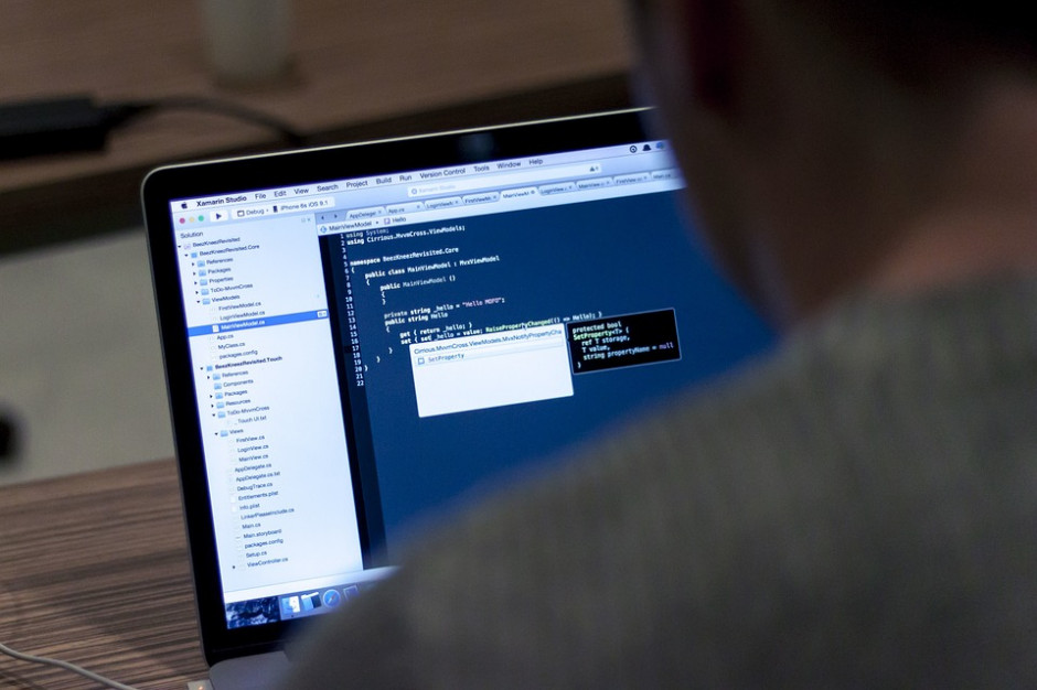 Firma Deloitte zajmuje się m.in. doradztwem w zakresie zarządzania ryzykiem informatycznym. (fot. pixabay) Słabe punkty firm. To mogą wykorzystać cyberprzestępcy