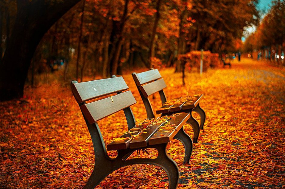 Ofiarą dużego optymizmu włoskiego odpowiednika ZUS, czyli Inps, padł emerytowany woźny szkolny z Treviso. (fot.: pixabay) 80-letniemu emerytowi obniżono świadczenia do 2039 roku