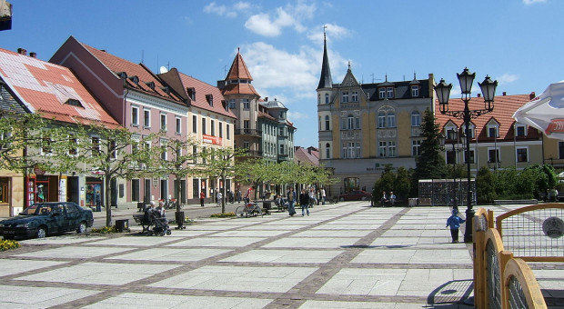 Rybek w Pszczynie (Fot. PetrusSilesius/Wikimedia, lic. CC BY-SA 3.0)