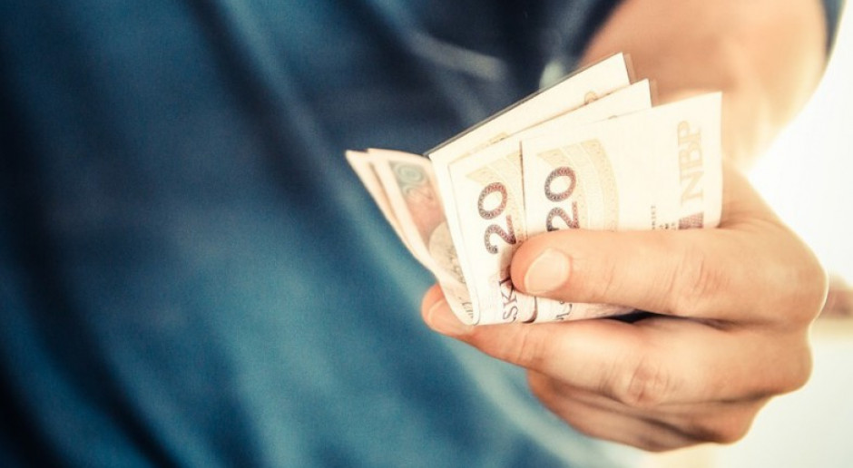 Dla wielu niemieckich przedsiębiorców wynagrodzenia to bardzo trudna kwestia. (fot. pixabay)