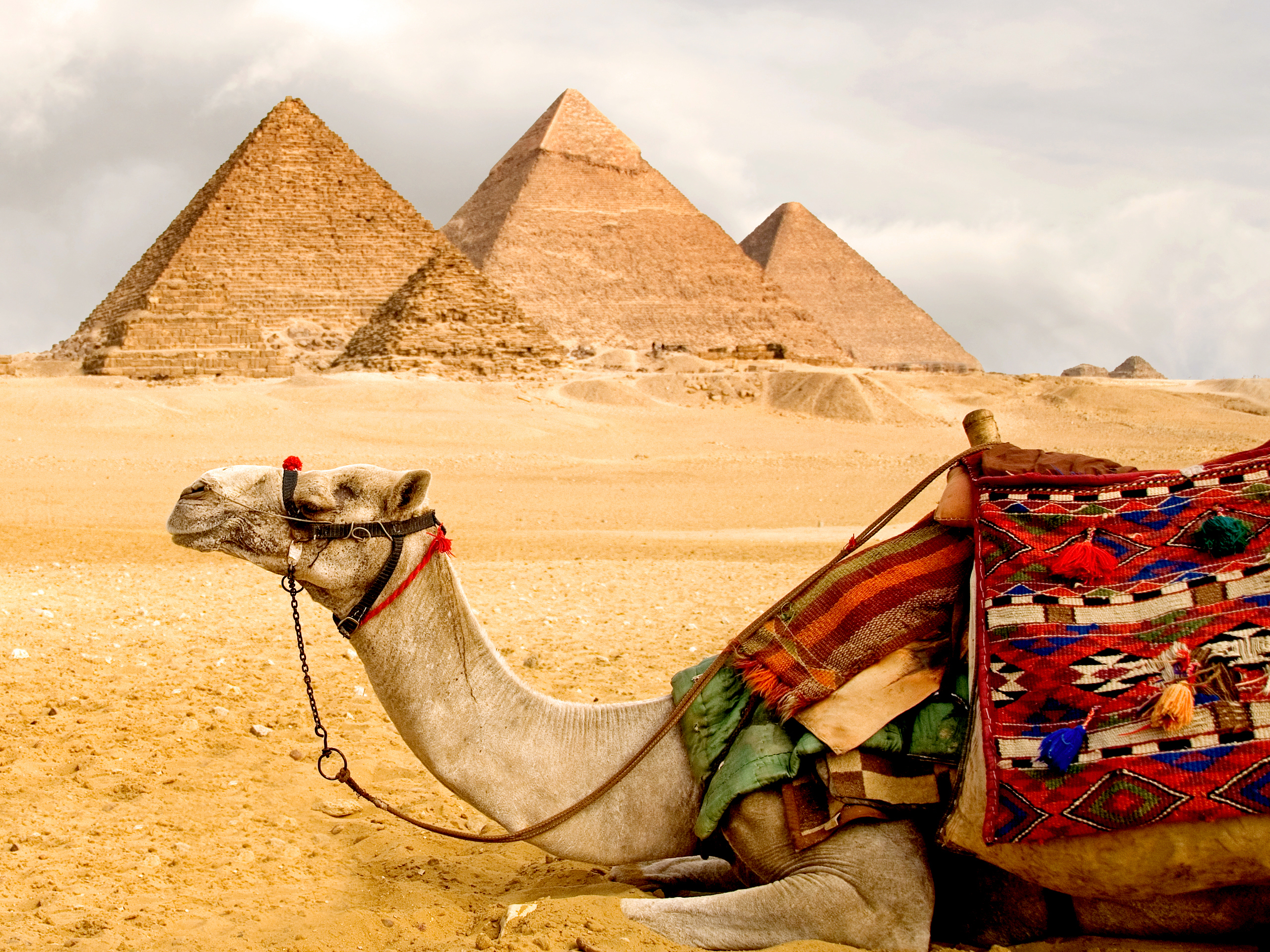 Wycieczki do Egiptu znów są popularne. (Fot. Mat. pras.)