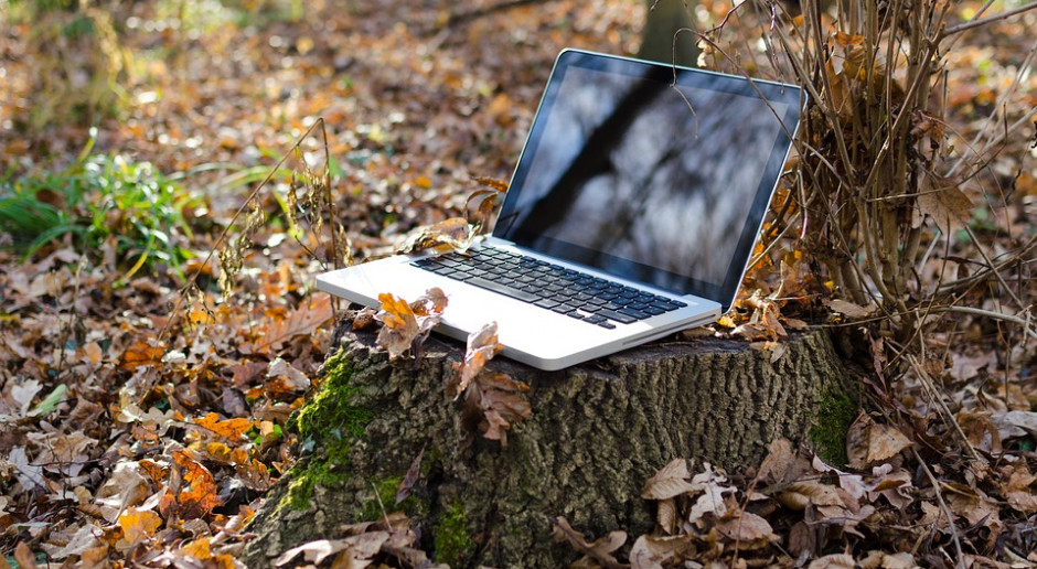 Praca zdalna to najczęściej obowiązki związane z projektowaniem, pisaniem, analizowaniem danych, źródło: pixabay.com