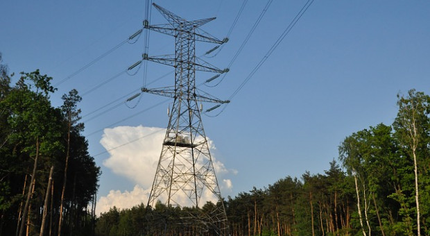 "Jakiś polityk popada w niełaskę, a potem następuje karuzela kadrowa. W energetyce tak być nie może" "W energetyce nie ma miejsca na kadrowe eksperymenty"