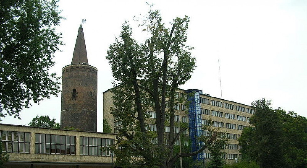 Opolskie przeznaczy pieniądze m.in. na aktywizację zawodową osób najbardziej oddalonych od rynku pracy. /Fot. Wikimedia, Bartek Wawraszko, CC3.0 Opolskie przeznaczy 23 mln zł na włączenie społeczne i aktywizację zawodową