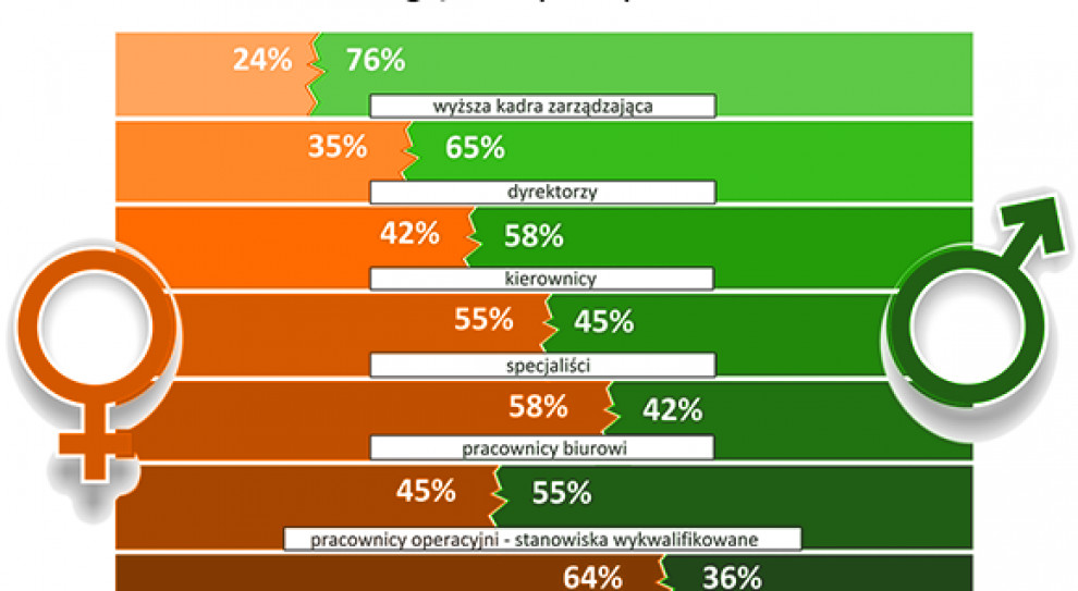 - Osoby dobrze wykształcone, uważnie śledzące trendy i uzupełniające wiedzę między innymi na studiach podyplomowych i MBA są poszukiwane na rynku, zarabiają dobrze i mają powody do satysfakcji - uważa dr hab. Witold T. Bielecki, rektor Akademii Leona Koźmińskiego (na zdjęciu struktura zatrudnienia w Polsce wg. płci, fot.:zielonalinia.gov.pl) Płace w Polsce 2016 (19 branż, prawie 400 stanowisk): Sprawdź czy zarabiasz tyle, ile powinieneś