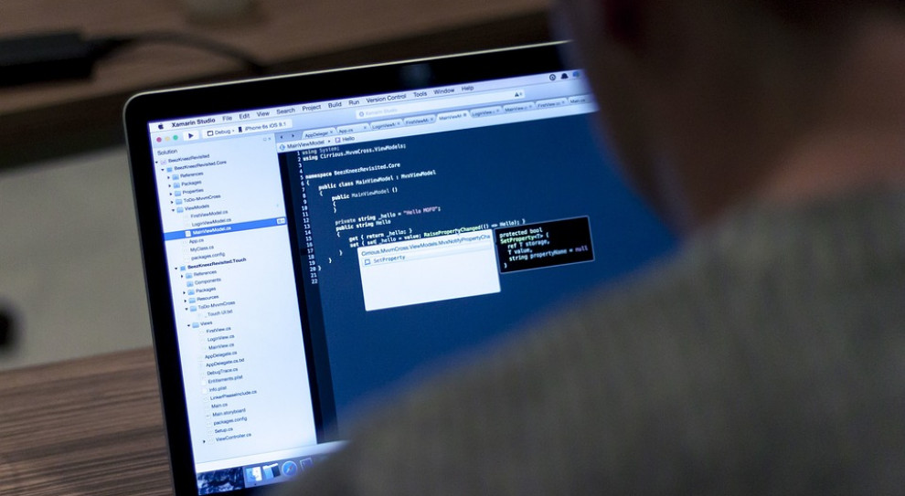 Firma Deloitte zajmuje się m.in. doradztwem w zakresie zarządzania ryzykiem informatycznym. (fot. pixabay) Słabe punkty firm. To mogą wykorzystać cyberprzestępcy