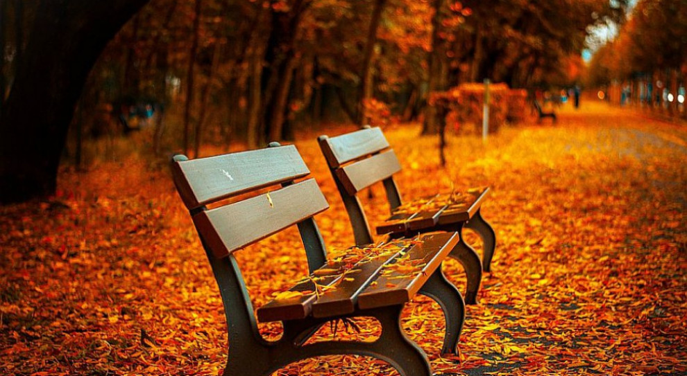 Ofiarą dużego optymizmu włoskiego odpowiednika ZUS, czyli Inps, padł emerytowany woźny szkolny z Treviso. (fot.: pixabay) 80-letniemu emerytowi obniżono świadczenia do 2039 roku