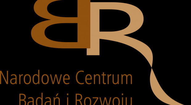 Nowy dyrektor został wyłoniony w drodze konkursu na podstawie ustawy o Narodowym Centrum Badań i Rozwoju. (fot.:wikipedia.org/domena publiczna) Narodowe Centrum Badań i Rozwoju ma nowego szefa, Macieja Chorowskiego