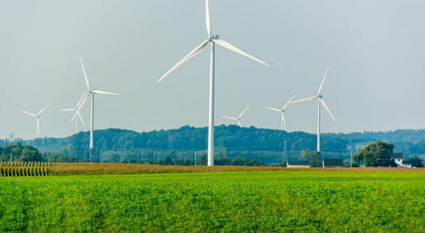 Ikea planuje w ciągu kolejnych 5 lat zainwestować 680 mln dol. w systemy energii odnawialnej, montując panele solarne, ale i elektrownie wiatrowe w swoich lokalizacjach na całym świecie. (Fot. Pixabay) W jakie "zielone" technologie najchętniej inwestują firmy?