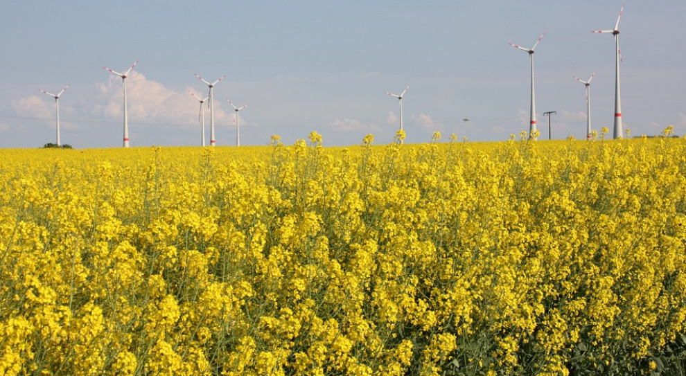 Dziś nie trzeba zjeżdżać kilometr pod ziemię, by wydobyć węgiel i dostać energię. (Fot.: Pixabay) Kosiniak-Kamysz: OZE będzie potrzebować ok. 100 tys. pracowników