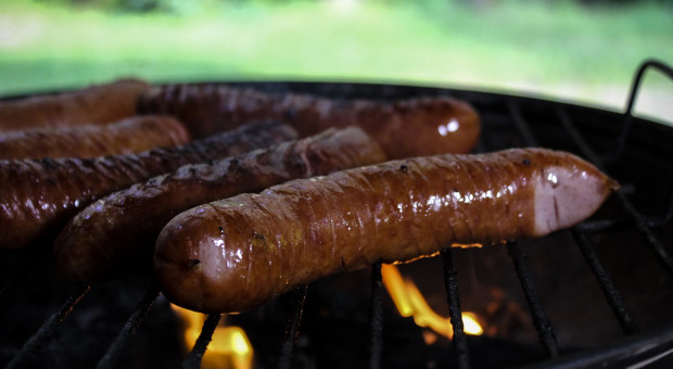 Bank przyjął, że w skład zestawu wchodzi po 1 kg: mięsa wieprzowego, kiełbasy wędzonej, mięsa drobiowego, warzyw oraz 3 litry napojów bezalkoholowych (fot. pixabay.com) Tegoroczna majówka tańsza dla miłośników grilla