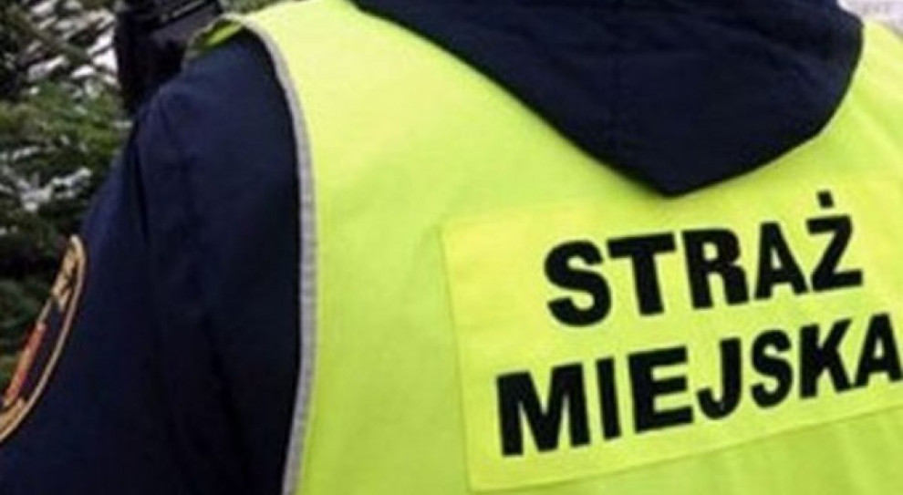 Wyżej opłacani strażnicy w Warszawie, Wrocławiu, Krakowie i Bydgoszczy wykazywali się także ponadprzeciętną wydajnością. (Fot. mat. pras.) NIK, wynagrodzenia strażników miejskich: W którym mieście zarabiają najlepiej?
