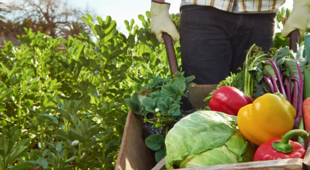 Nowe przepisy wprowadzają szereg ułatwień dla rolników czy małych przedsiębiorców zainteresowanych produkcją żywności w stosunku do wymagań wcześniej obowiązujących (fot.portalspozywczy) Mikroprzedsiębiorcom będzie łatwiej