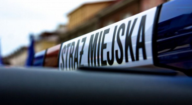 W śledztwie zarzuty usłyszało 17 osób, w tym dziewięciu strażników.(fot. flickr.com/Cezary Borysiuk) Będzin, straż miejska: Byli strażnicy miejscy oskarżeni o branie łapówek