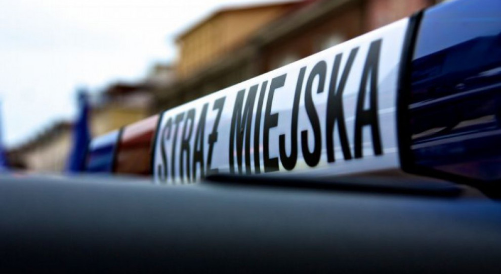 W śledztwie zarzuty usłyszało 17 osób, w tym dziewięciu strażników.(fot. flickr.com/Cezary Borysiuk) Będzin, straż miejska: Byli strażnicy miejscy oskarżeni o branie łapówek
