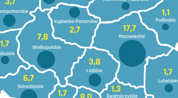 Największą liczbą ofert pracy dysponowało województwo mazowieckie. (Źródło: GUS) Najwięcej pracy dla robotników i rzemieślników