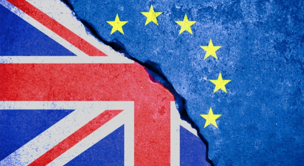 Kerber ostrzegł, że utrata dostępu do rynku wewnętrznego "mocno uderzy" w firmy działające na terenie Wielkiej Brytanii (fot.shutterstock) Brexit, skutki, Kerber: Branża motoryzacyjna i energetyczna szczególnie ucierpi na Brexicie
