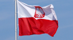 Zadaniem Polonijnej Rady Konsultacyjnej będzie wyrażanie opinii w sprawach istotnych dla Polonii i Polaków za granicą (fot.wikipedia.org/Olek Remesz) Powstanie Polonijna Rada Konsultacyjna