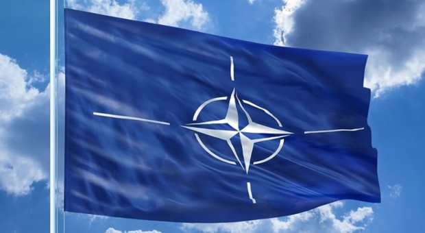 Vector Synergy zatrudnia ponad 50 konsultantów IT i cyberbezpieczeństwa (fot.fotolia) Polscy specjaliści chronią NATO