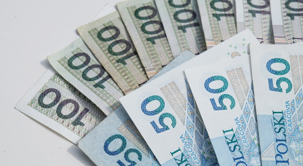 Opolskie Centrum Rozwoju Gospodarki, które prowadzi nabory wniosków, to jedna z tzw. instytucji pośredniczących we wdrażaniu opolskiego RPO (fot. pixabay) Opolskie: miliony z UE na wsparcie dla przedsiębiorców