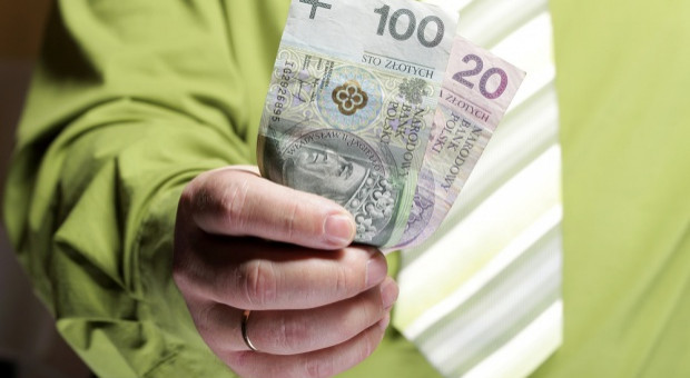(Fot. Shutterstock) Wynagrodzenia imigrantów o 1/3 niższe niż pensje Polaków