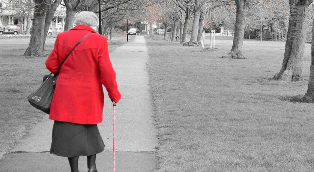Beata Mazurek (PiS) powiedziała, że obniżenie wieku emerytalnego jest reformą bardzo oczekiwaną przez Polaków i - jak zapewniła - zostanie zrealizowana. (Fot. Pixabay) Poseł Nowoczesnej: Oszukujecie społeczeństwo nie informując o skutkach obniżenia wieku emerytalnego