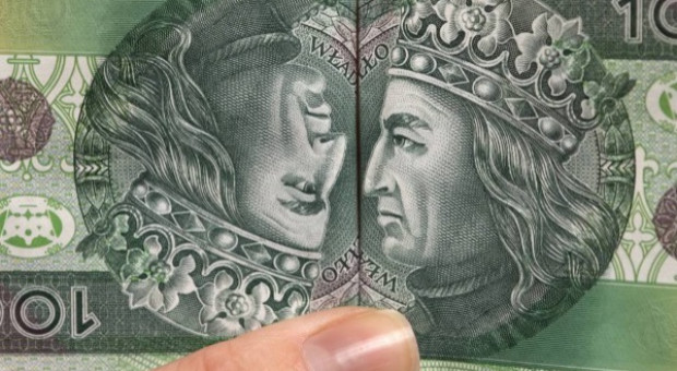 Dominanta wynagrodzeń, a więc najczęściej występująca płaca w Polsce wynosi 1786 zł na rękę. Fot. PTWP (Piotr Waniorek) Brak rąk do pracy to tylko chwilowy efekt 500+