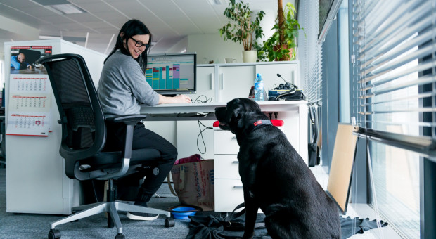 Zwierzęta mają bardzo dobry wpływ na pracowników. (fot. Nestle Purina) Do pracy z psem? Zwierzę w firmie to... samo zdrowie