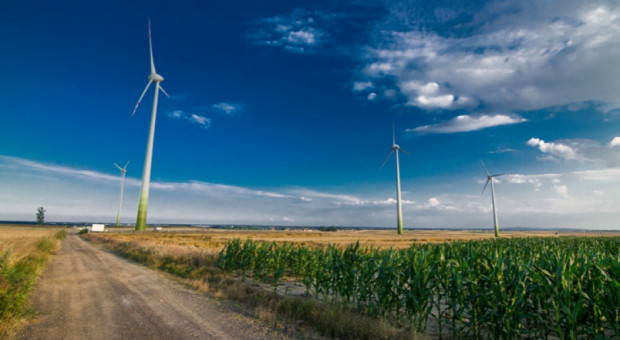 99 proc. planowanych inwestycji w enerfię wiatrową może zostać niezrealizowanych, a pracę w branży może stracić 4 tys. osób.(fot.fotolia) Energetyka wiatrowa w Polsce stanęła. Pracę może stracić 4 tys. osób