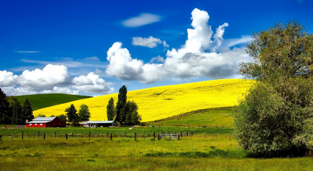 agroturystyka bardzo dobrze rozwija się w sezonie letnim jak również poza sezonem (fot.pixabay) Urlop, wakacje: Agroturystyka coraz popularniejszym sposobem na wypoczynek