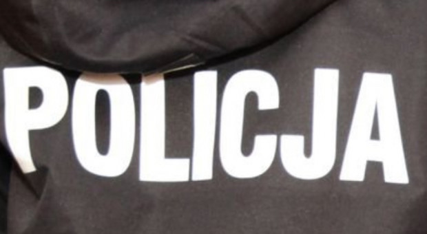 Wysłany z Warszawy funkcjonariusz - w polskim umundurowaniu - będzie brał udział w dziennych i nocnych patrolach (fot.policja.pl) Wielka Brytania: Polski policjant będzie patrolował ulice Harlow