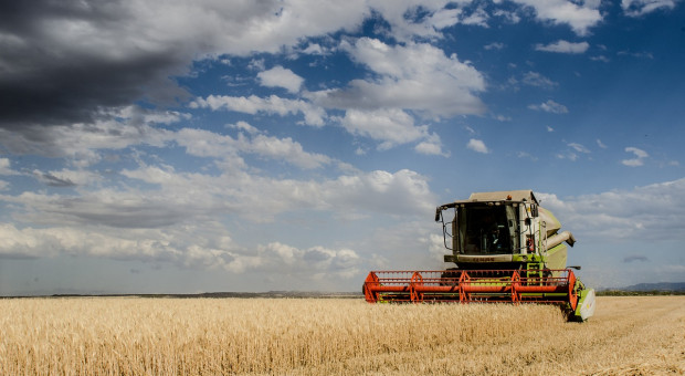 W 2015 roku do KRUS zgłoszono 20 154 wypadki, a 8,1 proc. mniej niż w ubiegłym roku (fot.pixabay) Rolnik, praca: Mechanizacja i nowoczesne maszyny pomagają. Wypadków w rolnictwie mniej