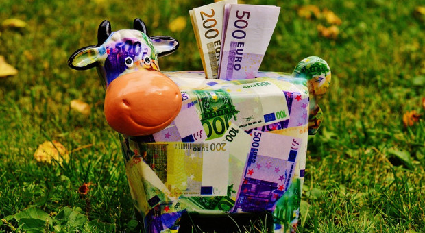 Większość młodych nie ma z czego odkładać. Nie dostają kieszonkowego. (fot. pixabay.com) TNS Polska: blisko 70 proc. Polaków nie dostaje i nigdy nie dostawało kieszonkowego
