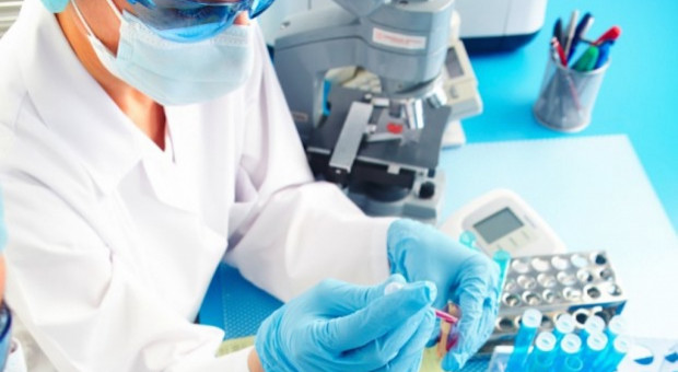 Żeby zostać diagnostami laboratoryjnymi, trzeba ukończyć kształcenie podyplomowe w zakresie analityki medycznej (fot.fotolia) Diagności laboratoryjni bronią swej pozycji zawodowej