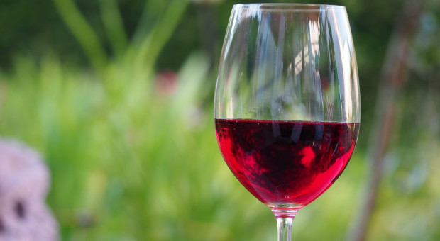Coraz więcej winnic rejestruje swoją działalność w Agencji Rynku Rolnego. Dzięki temu mogą sprzedawać swoje wyroby do sklepów i restauracji (fot.pixabay.com) Winnice w Polsce: Lawinowo rośnie liczba winiarzy