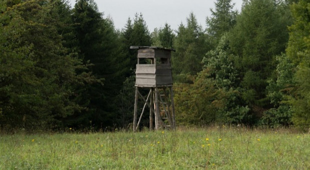 Żeby przygotować listy rzeczoznawców, trzeba było najpierw wiedzieć, jakie wymagania muszą oni spełniać (fot.pixabay) Rzeczoznawcy do szacowania szkód łowieckich poszukiwani