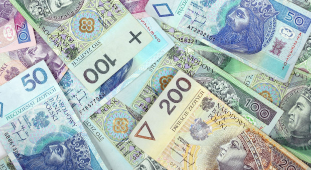 Według szacunków Polskiej Izby Ochrony z powodu oskładkowania umów pracę straciło ponad 10 proc. ochroniarzy, czyli blisko 40 tys. osób. (Fot.fotolia) Urzędy najmniej gotowe na minimalną stawkę godzinową