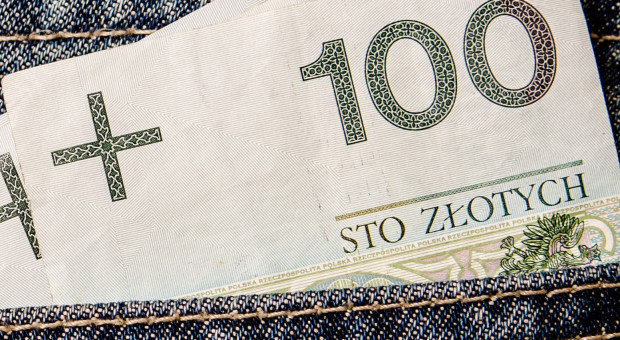 Kwoty minimalne wynagrodzenia zasadniczego pracowników samorządowych mają zostać podwyższone (fot.pixabay.com) Wynagrodzenia: Podwyżki dla pracowników samorządowych. Ile będą zarabiać?