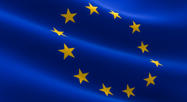 Z Polski pochodzi najwięcej pracowników delegowanych w UE; w 2014 r. było to prawie 430 tysięcy na 1,9 mln (22,3 proc.). (fot. fotolia) Delegowanie pracowników: UE nadal podzielona