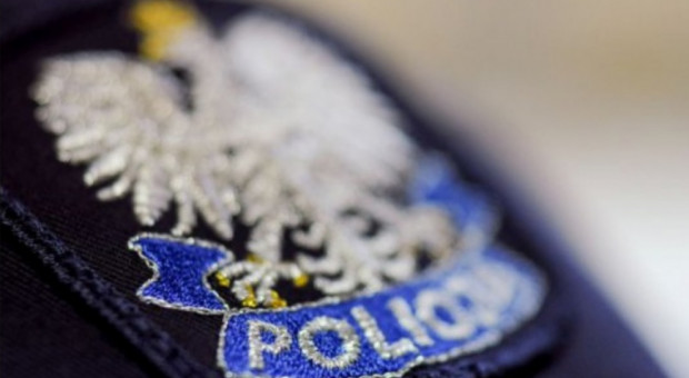 Wirtualny policjant pomaga wykrywać przerwy w ubezpieczeniu (fot.slaska.policja.gov.pl) Wirtualny policjant pomaga policji karać kierowców