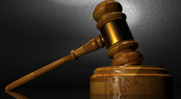 Dla wyjaśnienia sprawy musiałoby zeznawać przed sądem co najmniej 100 funkcjonariuszy. (fot. pixabay.com) Olsztyńscy celnicy wycofali się z aktu oskarżenia wobec b. dyrektora izby celnej
