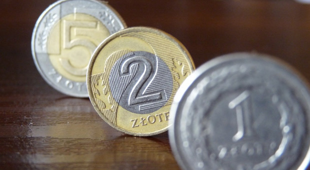 Do rozdysponowania jest prawie 38 mln zł. (fot. pixabay.com) Na Lubelszczyźnie rusza program aktywizacji młodych bezrobotnych