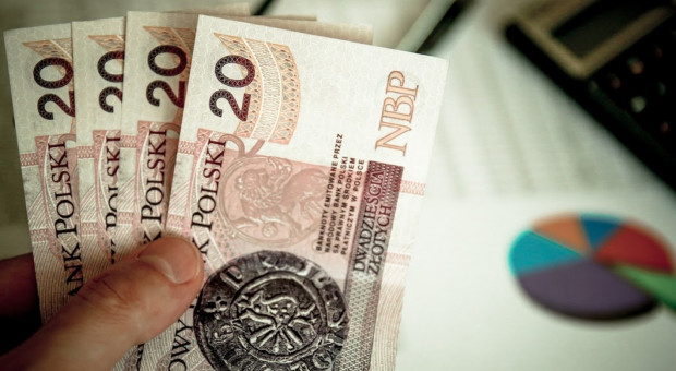 Redukcja kosztów priorytetem wielu małych i średnich firm w 2017 r. (fot. pixabay) Małe i średnie firmy będą ciąć koszty