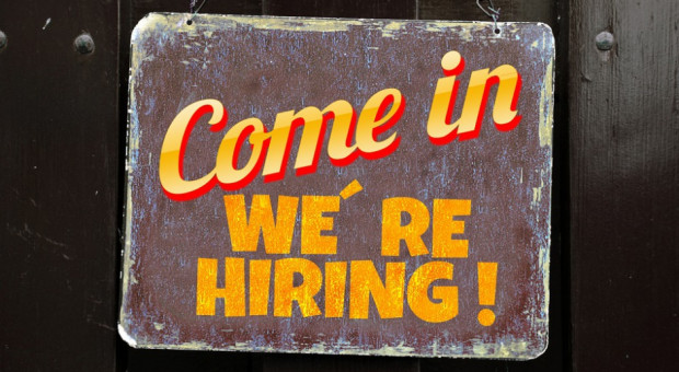 Szukam pracy, rekrutacja: Poszukiwani księgowi, sprzedawcy i HR-owcy