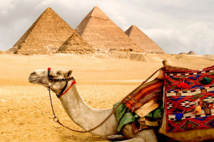 Na święta Polacy chętnie latają do Egiptu