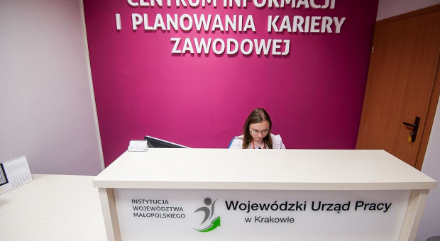 Doradztwo zawodowe: odnowione Centra Informacji i Planowania Karier w Małopolsce